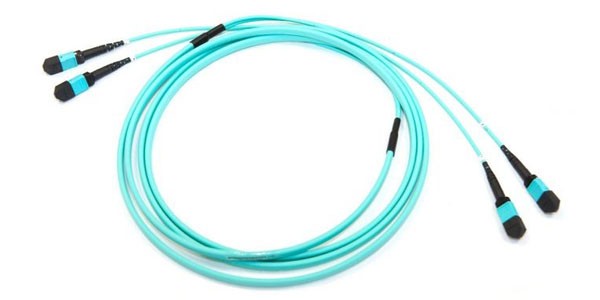 MTP 40G OM4 24F Trunk Cable-img-1